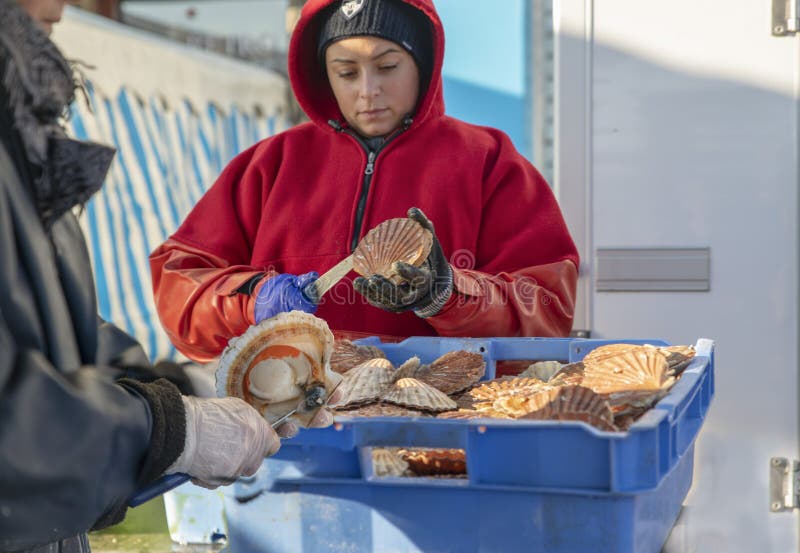 DIEPPE, FRANÇA - 17 DE NOVEMBRO DE 2018: Mulheres abertas e vieiras limpas para a venda na feira do escudo dos arenques e de viei imagens de stock DIEPPE, FRANÇA - 17 DE NOVEMBRO DE 2018: Mulheres abertas e vieiras limpas para a venda na feira do escudo dos arenques e de viei imagens de stock