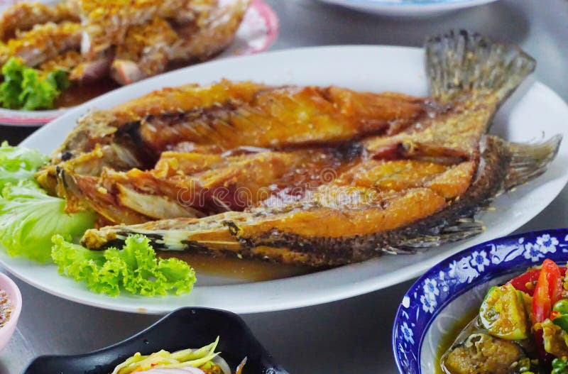 Diepzeebaars met vissaus royalty-vrije stock afbeelding