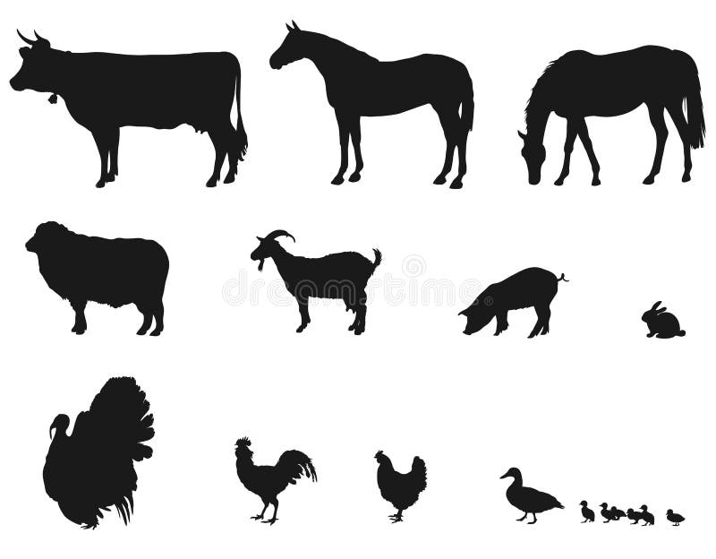 Dieren die op het landbouwbedrijf leven vector illustratie Dieren die op het landbouwbedrijf leven vector illustratie
