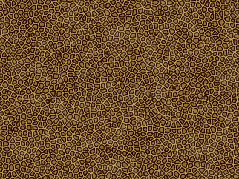 Dierlijke bonttextuur - luipaard