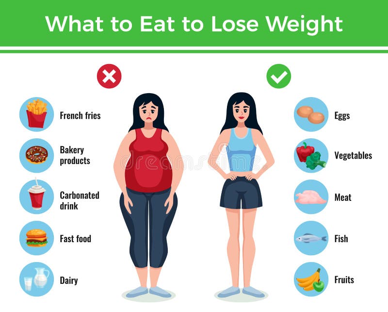 Diet Infographics Layout Stock Vector Illustration Of Elements 123501281 diet-infographics-layout-stock-vector-illustration-of-elements-123501281