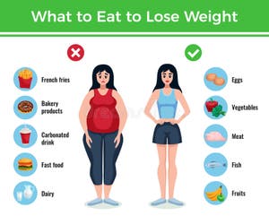 Diet Infographics Layout Stock Vector Illustration Of Elements 123501281