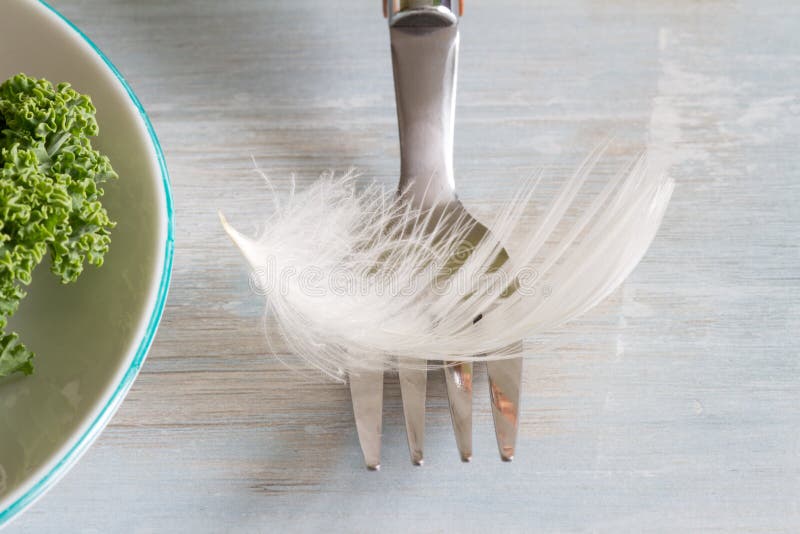 Diet light as a feather unique abstract concept with fork and green healthy food royalty free stock photos