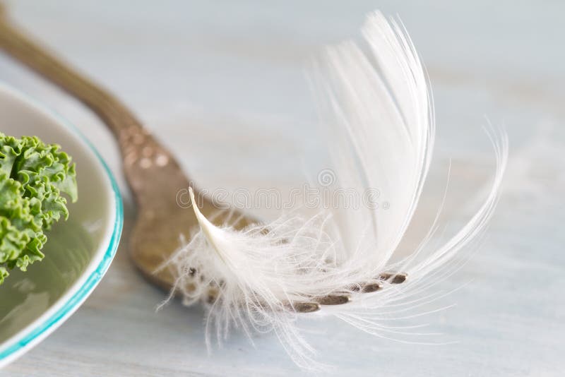 Diet light as a feather unique abstract concept with fork and green healthy food stock photography