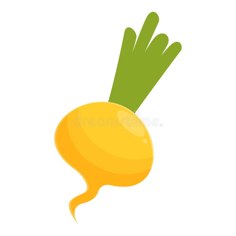 Diet Turnip Icon Cartoon Vector. Green Root Stock Vector Illustration