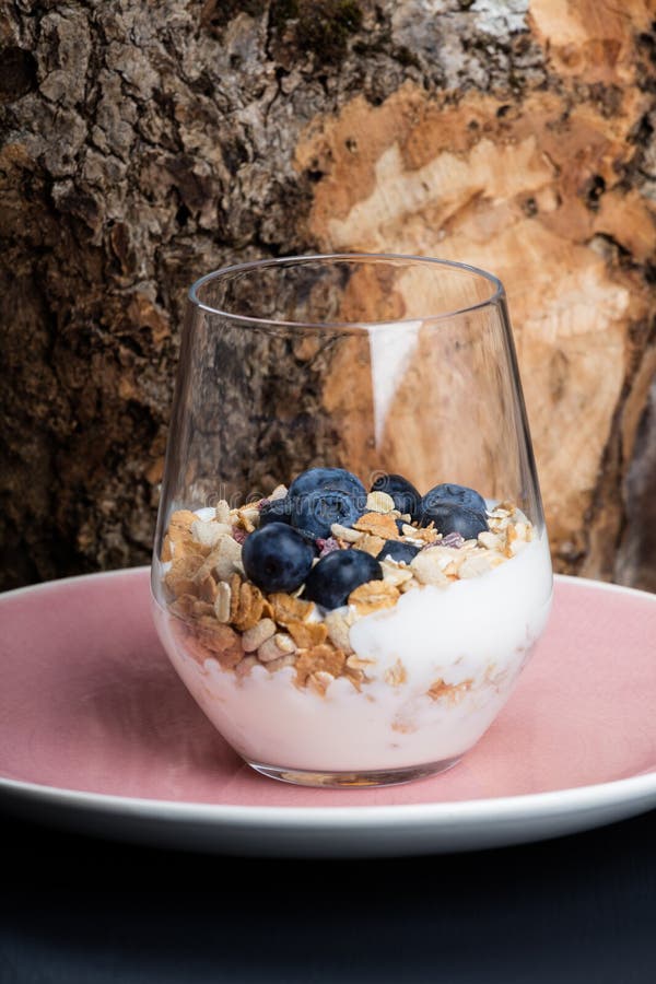 Dietetic Breakfast Yoghurt with Muesli and Huckleberries Stock Image