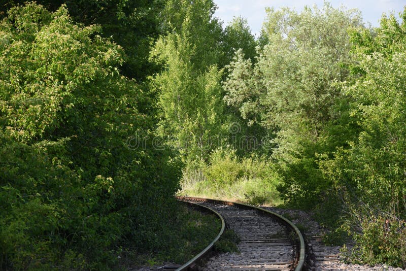 Dietro la torsione immagini stock libere da diritti Dietro la torsione immagini stock libere da diritti