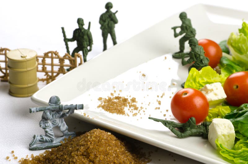 Diety i ciężaru straty wojna z zdrowym jedzeniem