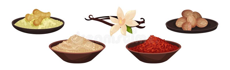 Diferentes especias y condimentos con pimienta picante de vainilla de vainilla jengibre en tazón y conjunto vectorial de nuez mosc stock de ilustración