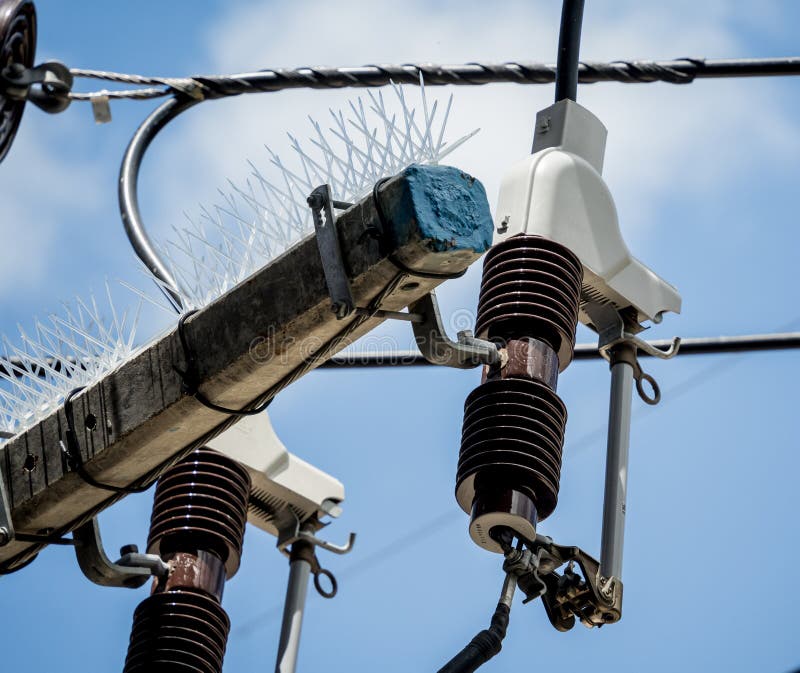 Diferite echipamente electrice sunt setate pe un cer albastru strălucitor.