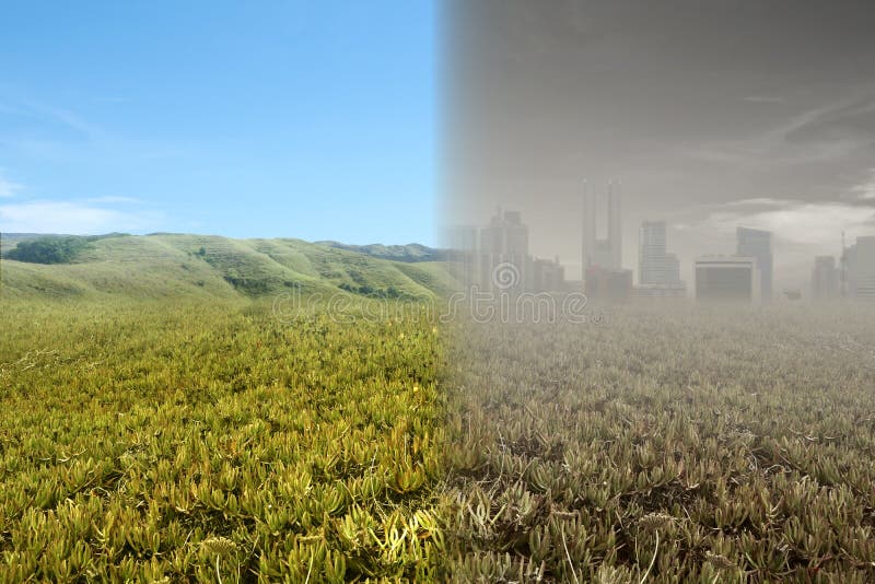 nature vs development