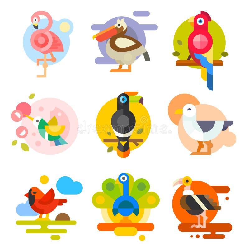 Different birds