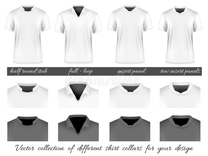 Different Collars for Your Design Stock Vector Illustration of neck