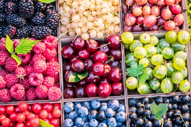 Different colorful berries in wooden box. Close-up royalty free stock photography Different colorful berries in wooden box. Close-up royalty free stock photography