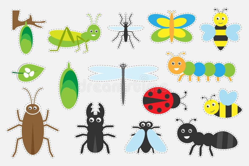 Different Colorful Insects Pictures For Children Fun Education Game For Kids Preschool Activity Set Of Stickers Vector Illustr Stock Illustration Illustration Of Activity Graphic 150296172