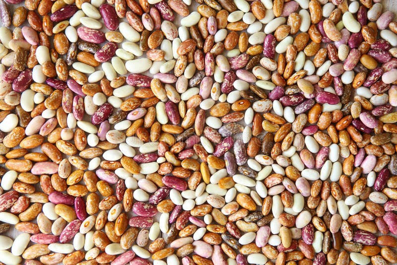 Pinto Beans Background Stock Image Image Of Orange 99449625 pinto-beans-background-stock-image-image-of-orange-99449625