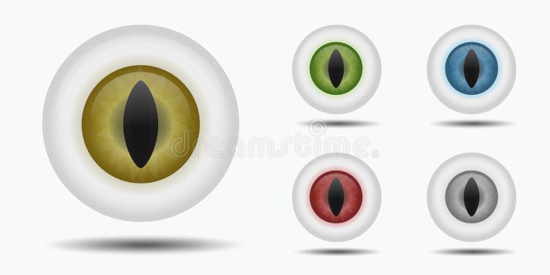 Different reptilian eyeballs eye vertical iris vector illustrations stock illustration Different reptilian eyeballs eye vertical iris vector illustrations stock illustration