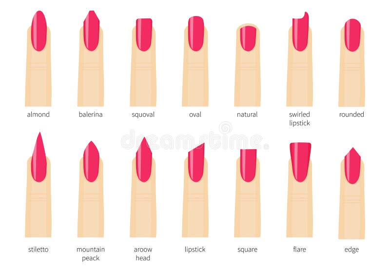 Image result for clipart of different nail shapes