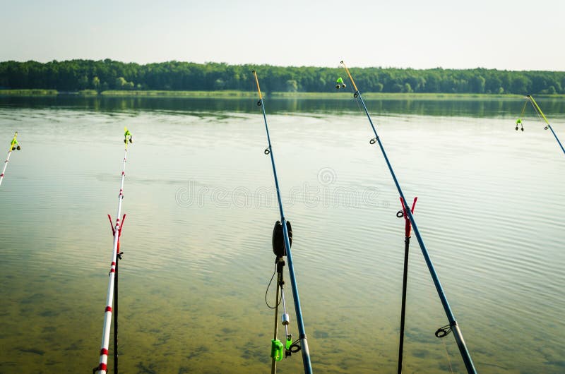 Fishing rods at the lake stock photo. Image of landscape 119045060