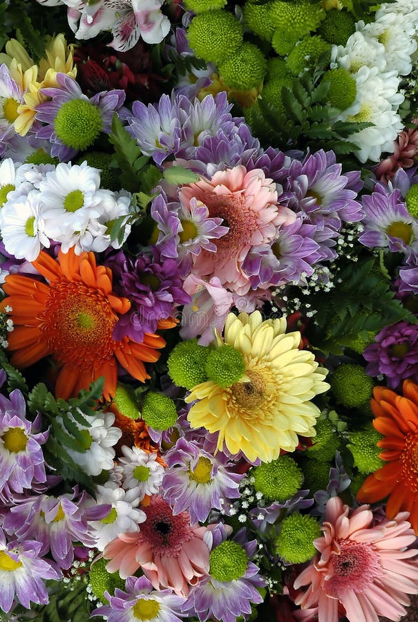 Different flower bouquet stock image. Image of blossom - 10108079