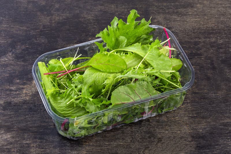 Different Fresh Greens in Plastic Container on a Black Surface Stock