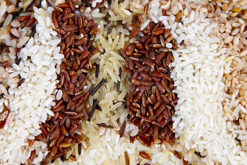 Raw Red Wild Rice In A Bowl Stock Photo Image of closeup, ripe 109981032