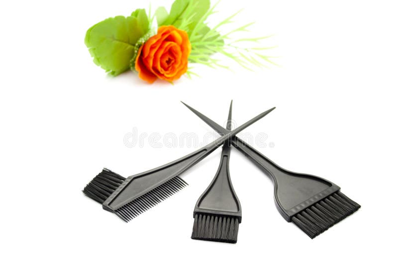 Different Hairbrush for Colouring Stock Photo Image of hygiene, brush