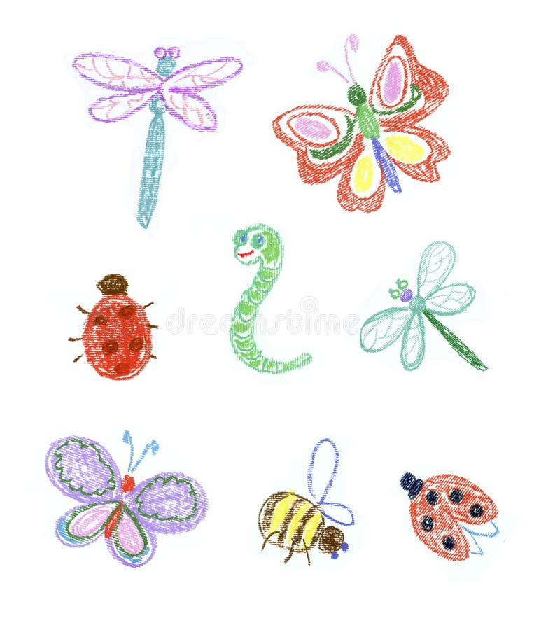 Different insects