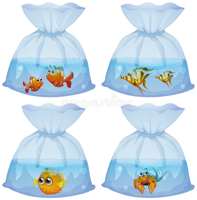 Different kind of fish in the bags vector illustration Different kind of fish in the bags vector illustration