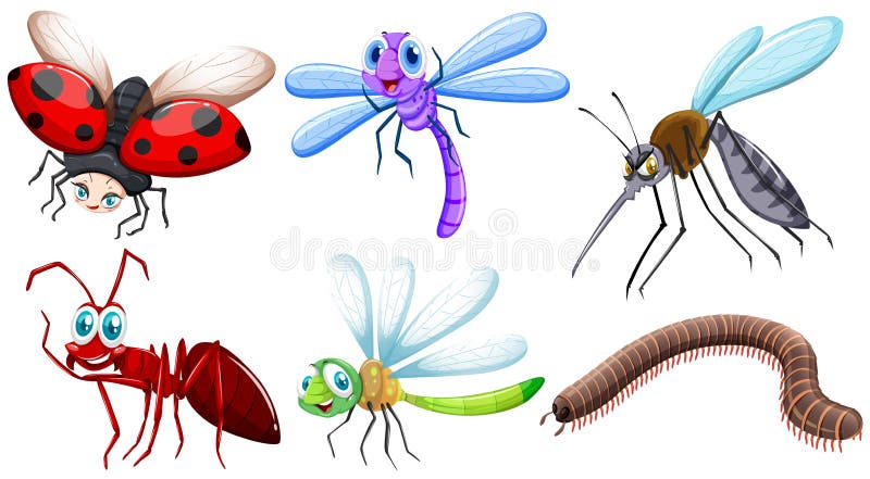 Different kind of insects