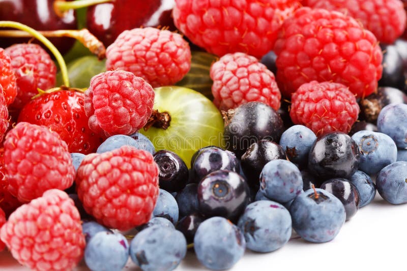 Different kinds of berries stock photo. Image of green - 17399314
