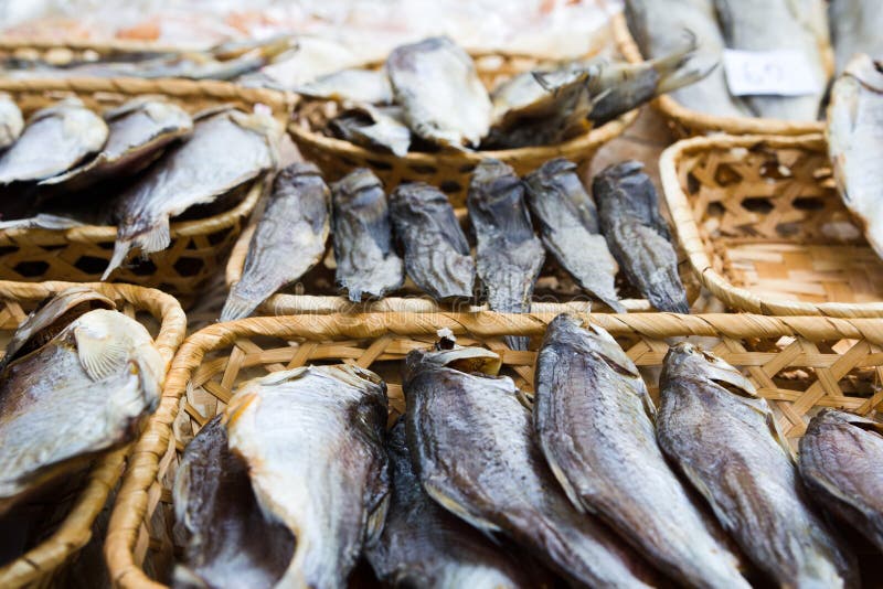 Different Kinds of Dried Fish in the Store at Beer Fesival Stock Photo Image of fishing
