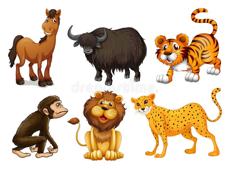 Different Kinds of Four-legged Animals Stock Illustration - Illustration of animals, series: 33691174 Different Kinds of Four-legged Animals Stock Illustration - Illustration of animals, series: 33691174