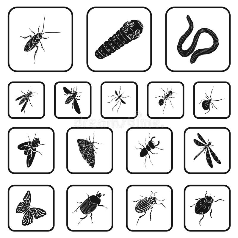 Different kinds of insects black icons in set collection for design. Insect arthropod vector isometric symbol stock web