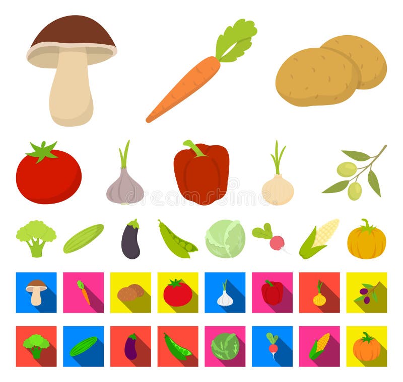 Different Kinds of Vegetables Cartoon,flat Icons in Set Collection for ...