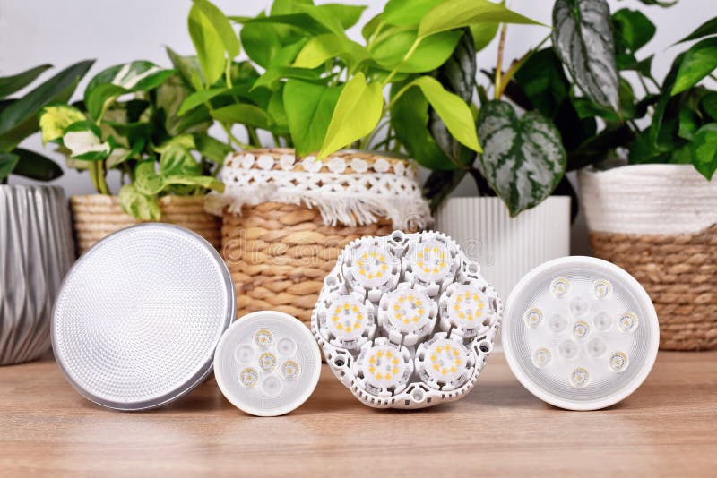 Grow Lights Houseplants Stock Photos Free & RoyaltyFree Stock Photos