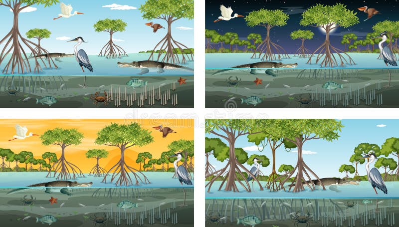 Different Mangrove Forest Landscape Scenes with Animals and Plants ...