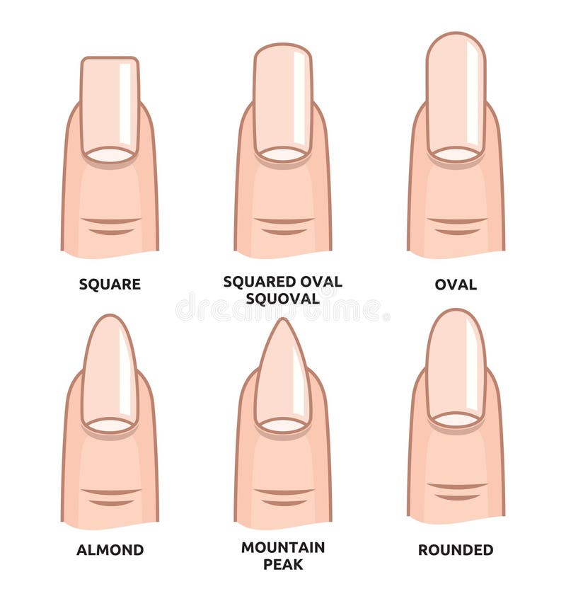Different Nail Shapes - Fingernails Fashion Trends Stock Illustration ...