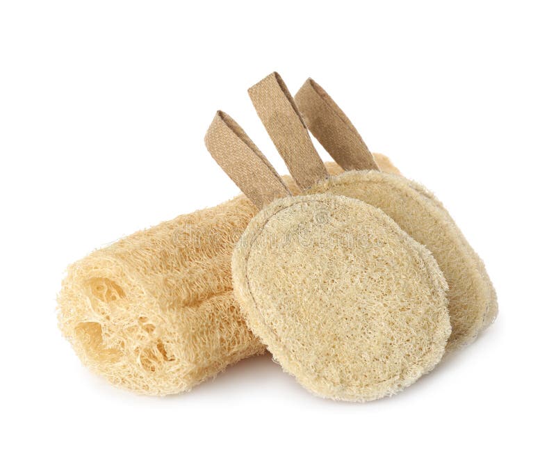 Different Natural Loofah Sponges Isolated on White Stock Photo Image
