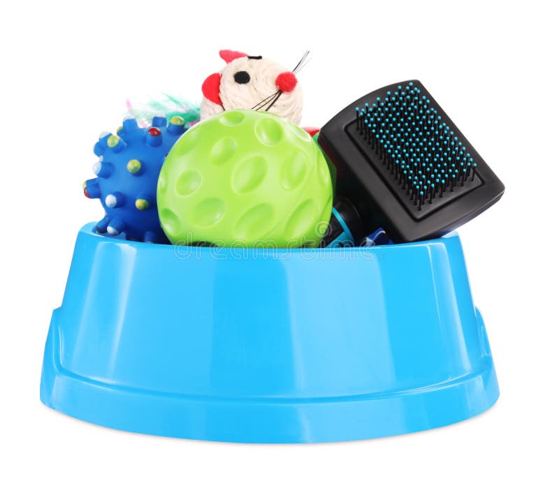 Different Pet Toys and Accessories Isolated on White Stock Image