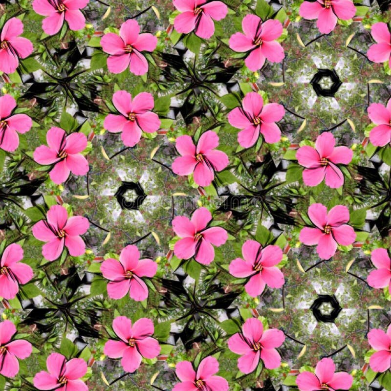 Different Pink Color Flowers Stock Photo Image of pink, flower 200053678