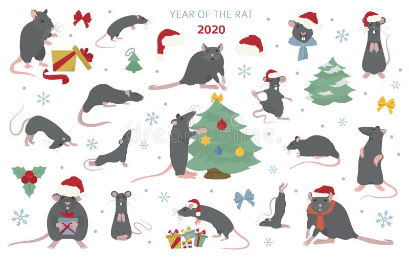 https://thumbs.dreamstime.com/b/different-rats-christmas-collection-rat-poses-exercises-cute-cartoon-new-year-clipart-set-vector-illustration-156720774.jpg