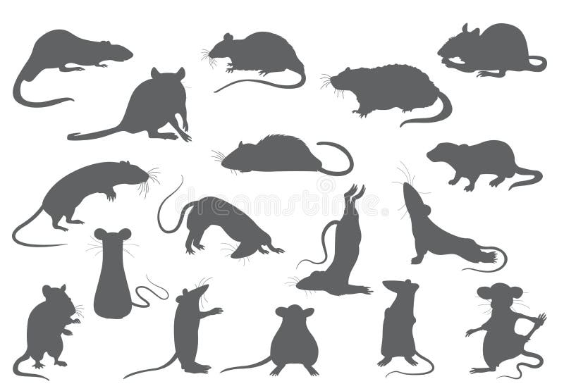 Gym Rat Stock Illustration - Download Image Now - Rat, Cartoon