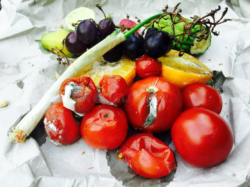 Rotting Fruit And Vegetables Stock Photo - Download Image Now - Rotting,  Food, Fruit - iStock