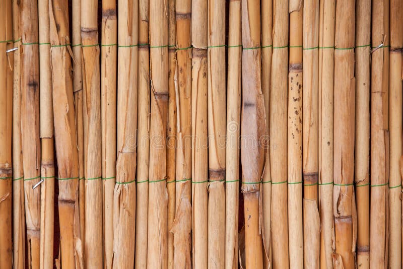  Japanese Bamboo Texture  For Background Bamboo  Wall Stock 