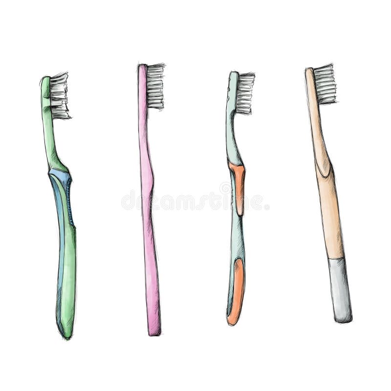 Different toothbrushes on a white background vector illustration