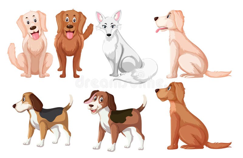 A different type of dog breed royalty free illustration