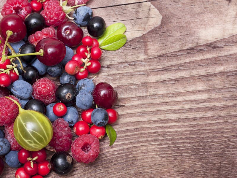 Different Type Of Wild Berry Fruits Stock Photo Image of fresh