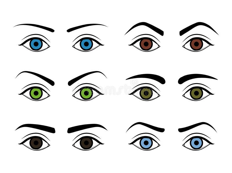 Different Type Woman Eyebrows Set. Vector