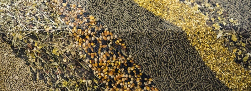 Different Types of Animal Feed for Background Stock Image - Image of